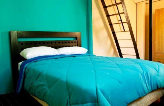 Ukelele Hostelモンテビデオ 部屋 写真