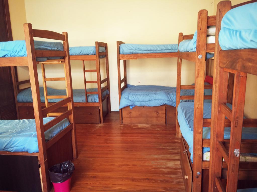 Ukelele Hostelモンテビデオ エクステリア 写真
